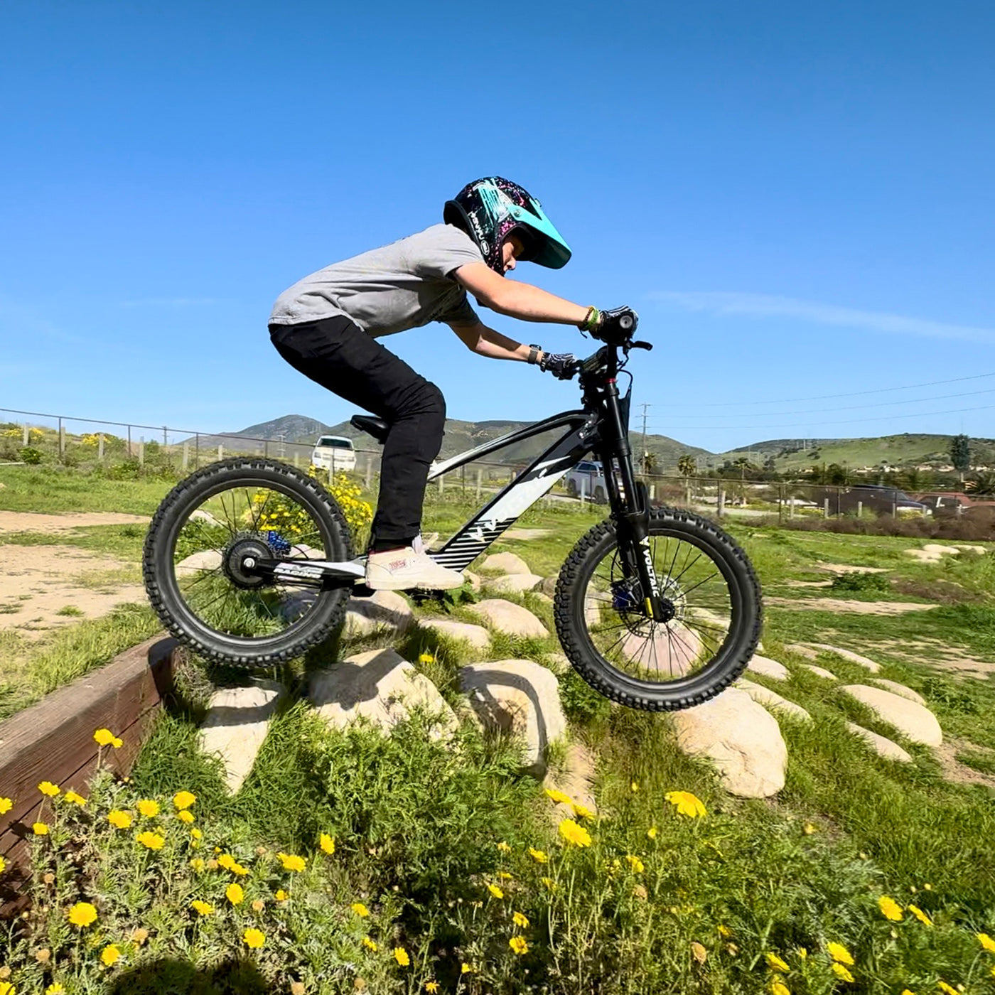 Voltaic Youth Electric Dirt Bike 20'' Flying Fox 36V w/ Hydraulic Brakes FREE SHIPPING