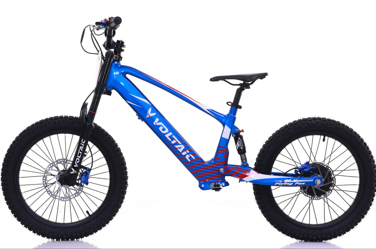 Voltaic Youth Electric Dirt Bike 20'' Flying Fox 48V w/ Hydraulic Brakes FREE SHIPPING