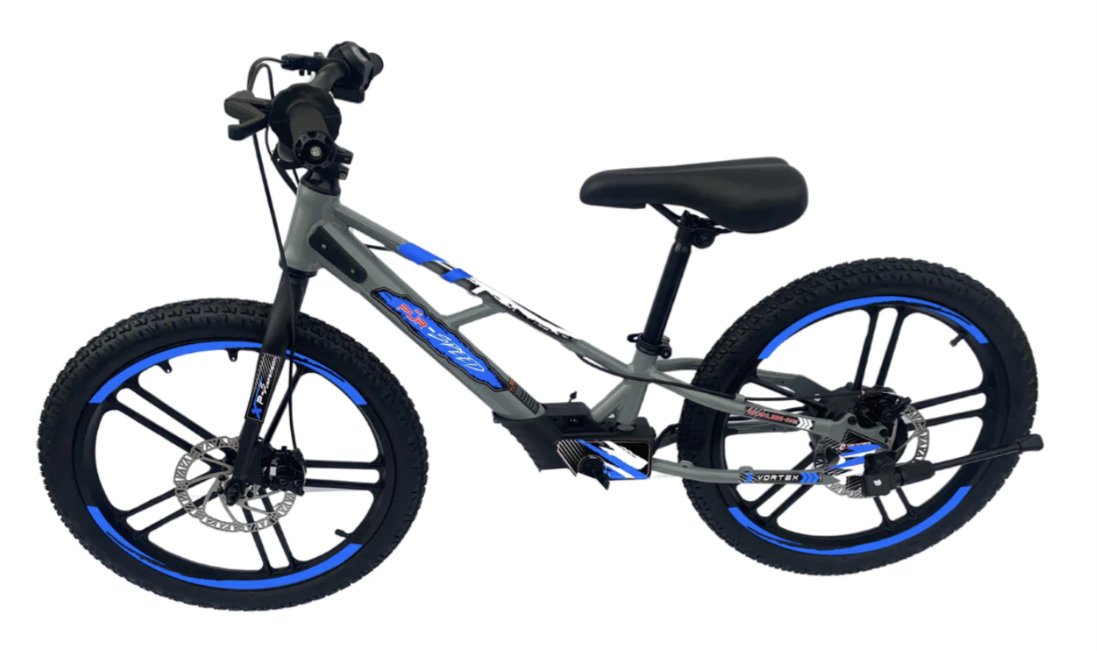 Pῡr-Speed 20" Ēko Electric Balance Bike for Kids w/ FREE SHIPPING