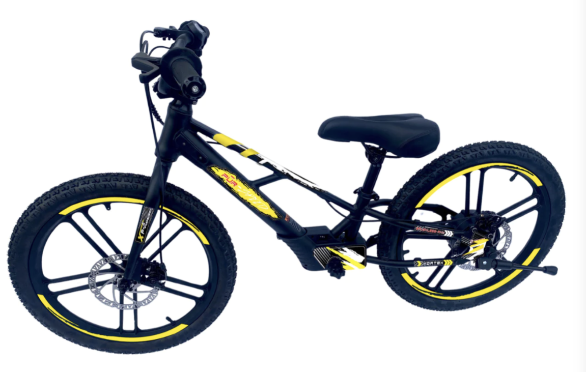 Pῡr-Speed 20" Ēko Electric Balance Bike for Kids w/ FREE SHIPPING