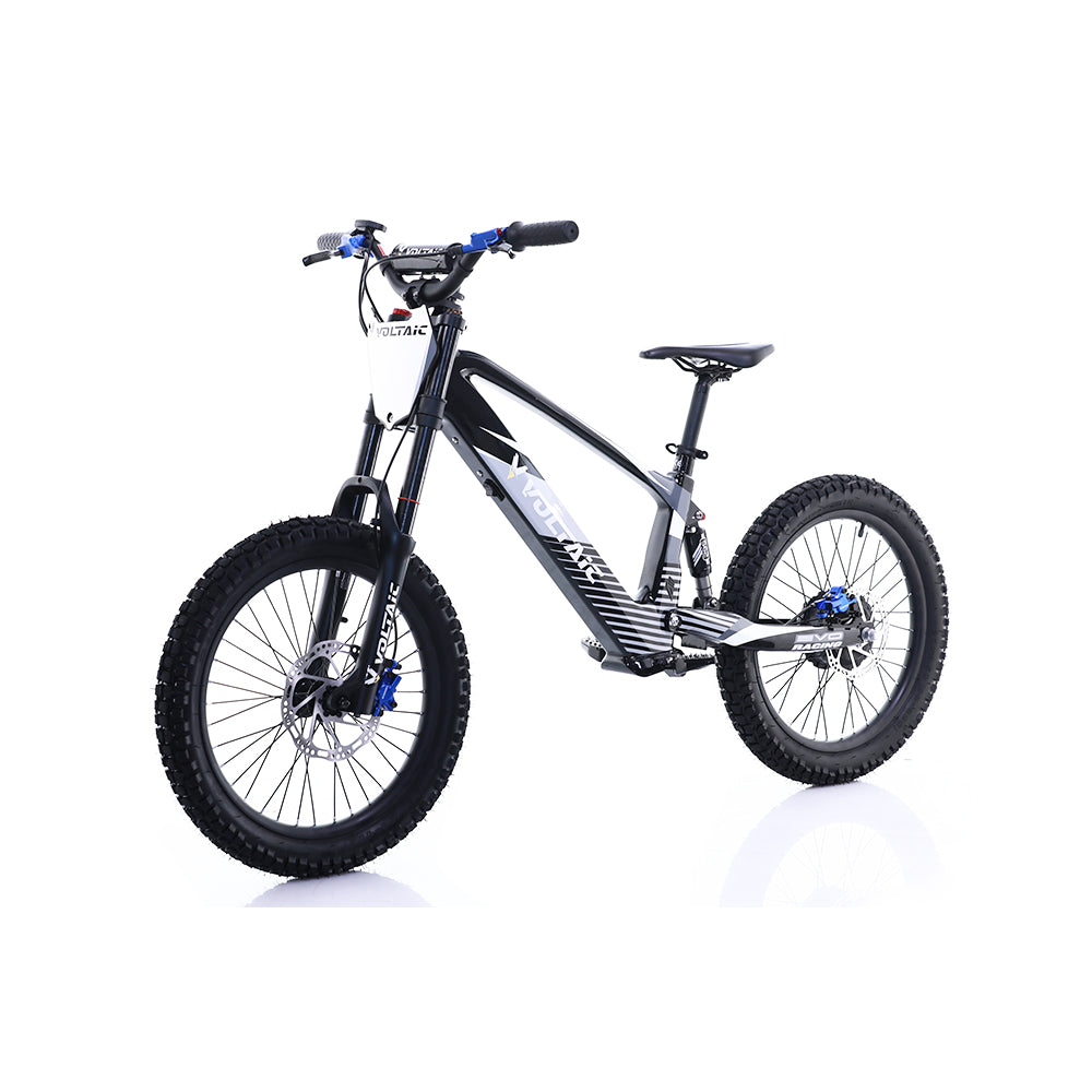 Voltaic Youth Electric Dirt Bike 20'' Flying Fox 36V w/ Hydraulic Brakes FREE SHIPPING