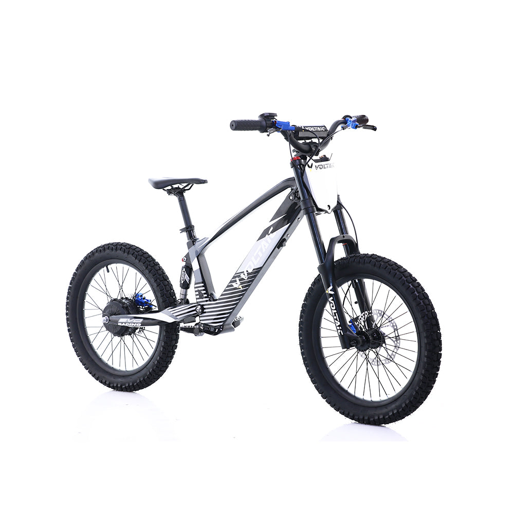 Voltaic Youth Electric Dirt Bike 20'' Flying Fox 36V w/ Hydraulic Brakes FREE SHIPPING