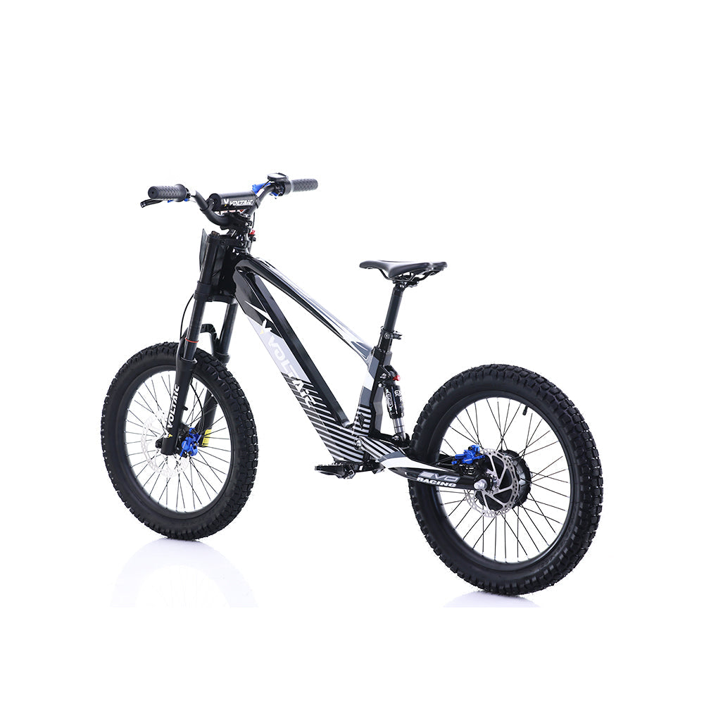 Voltaic Youth Electric Dirt Bike 20'' Flying Fox 36V w/ Hydraulic Brakes FREE SHIPPING