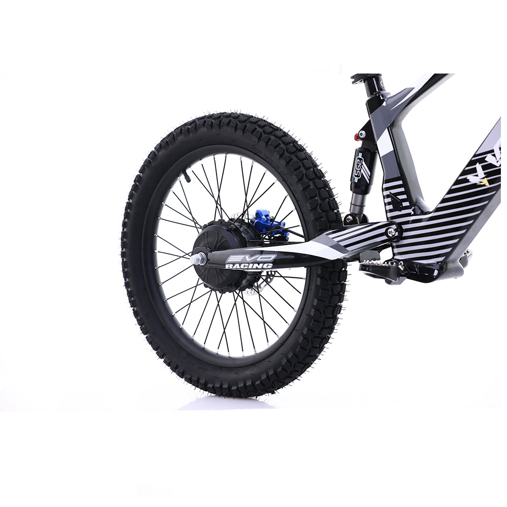 Voltaic Youth Electric Dirt Bike 20'' Flying Fox 36V w/ Hydraulic Brakes FREE SHIPPING
