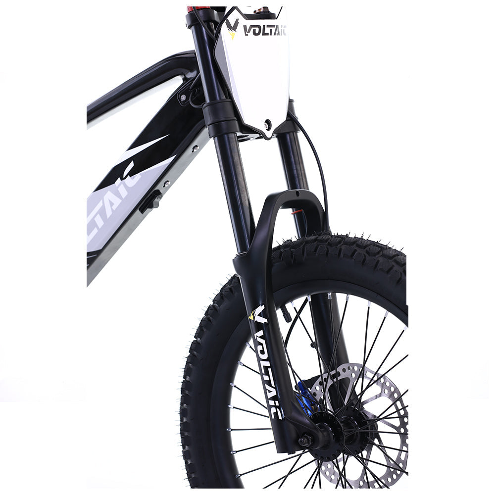 Voltaic Youth Electric Dirt Bike 20'' Flying Fox 36V w/ Hydraulic Brakes FREE SHIPPING