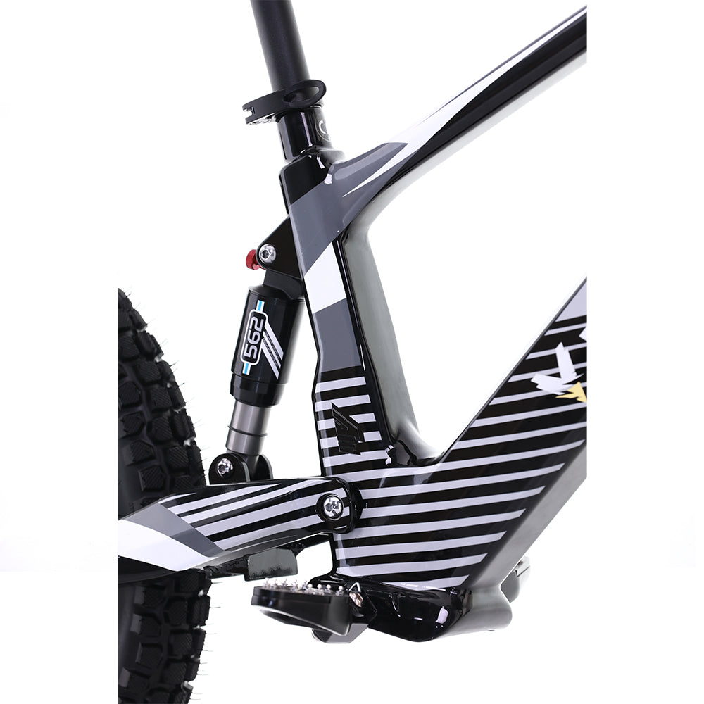 Voltaic Youth Electric Dirt Bike 20'' Flying Fox 36V w/ Hydraulic Brakes FREE SHIPPING