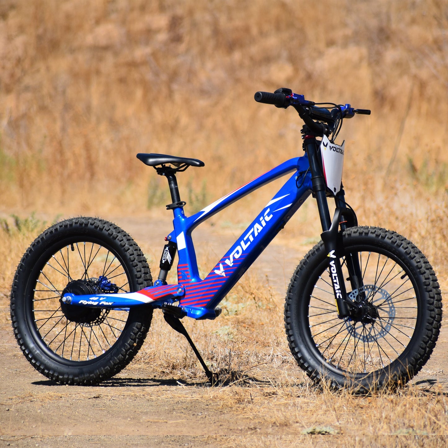 Voltaic Youth Electric Dirt Bike 20'' Flying Fox 48V w/ Hydraulic Brakes FREE SHIPPING