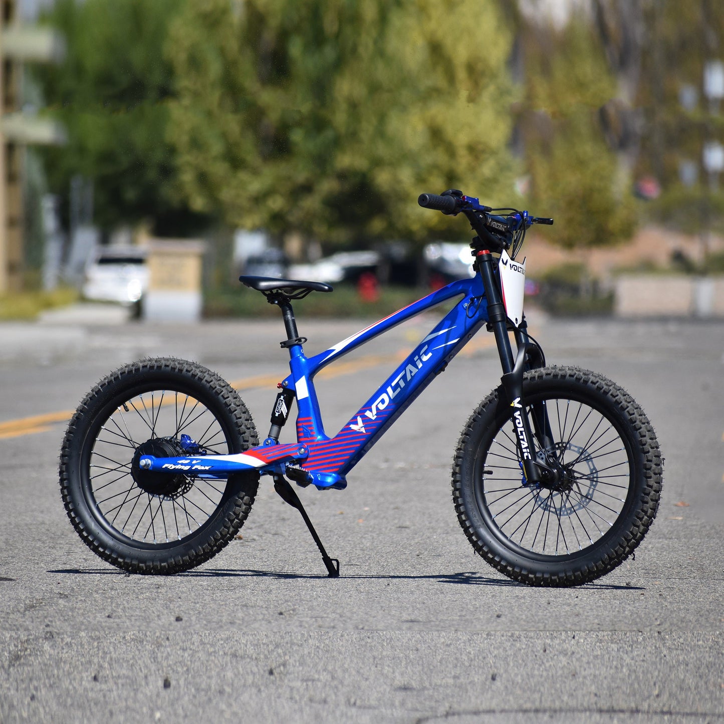 Voltaic Youth Electric Dirt Bike 20'' Flying Fox 48V w/ Hydraulic Brakes FREE SHIPPING