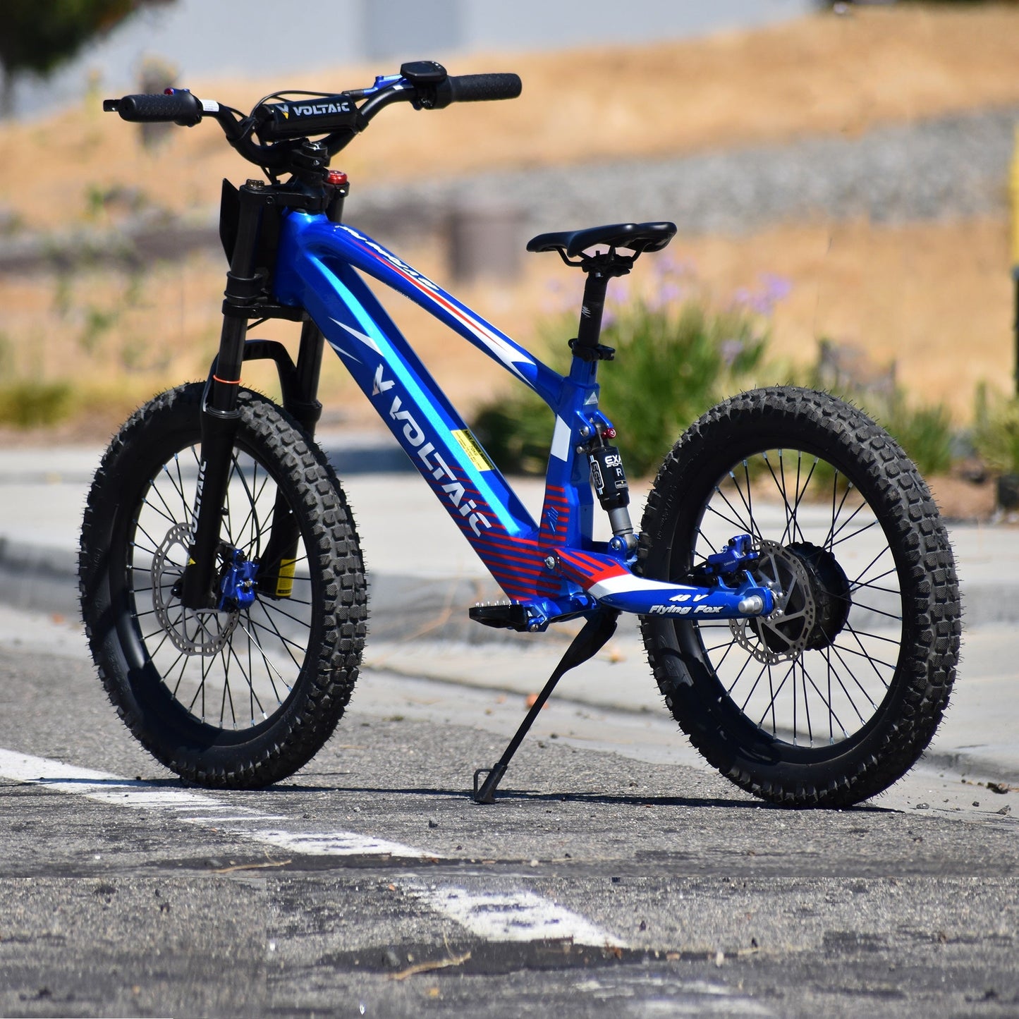 Voltaic Youth Electric Dirt Bike 20'' Flying Fox 48V w/ Hydraulic Brakes FREE SHIPPING
