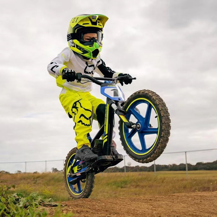 Voltaic Kids Electric Dirt Bike 12'' Cub FREE SHIPPING