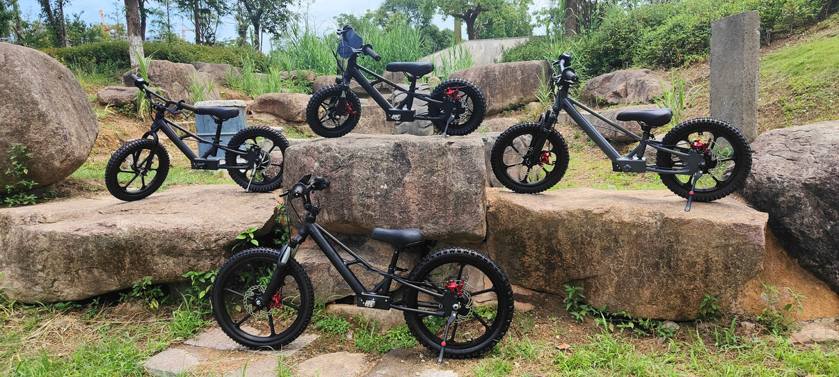 Pῡr-Speed 20" Xtreme Electric Balance Bike for Kids w/ Hydraulic Disc Brakes FREE SHIPPING