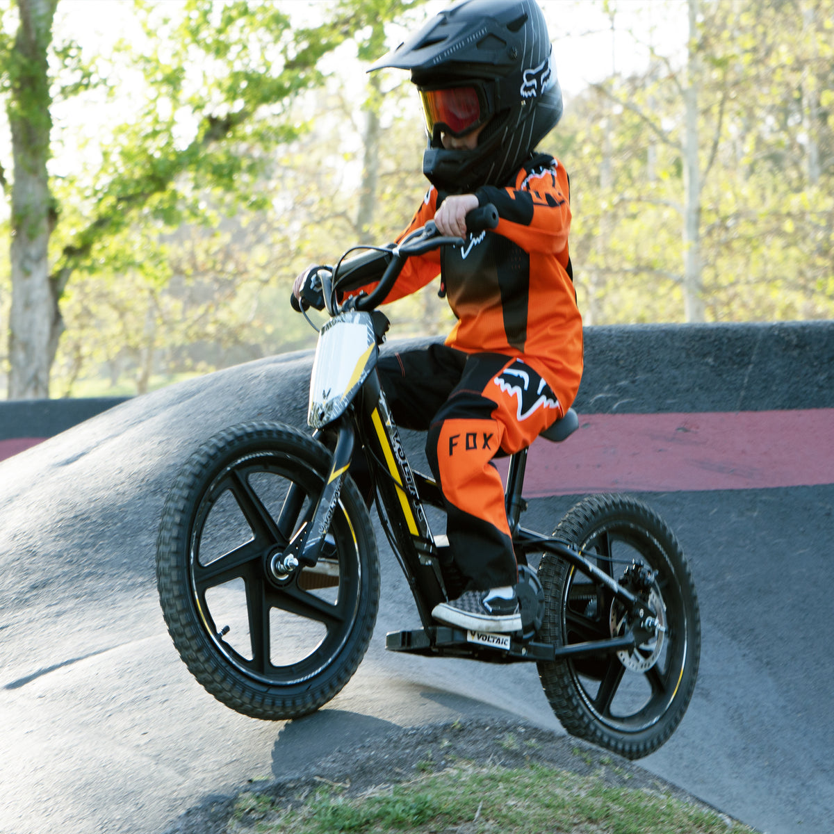 Voltaic Kids Electric Dirt Bike 16'' Lion FREE SHIPPING