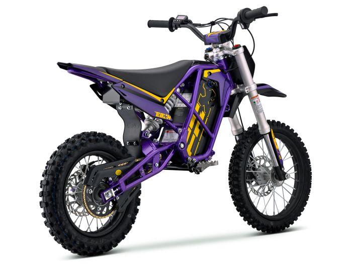 EBOX V3 60R Purple/Gold FREE USA SHIPPING E Moto Bike