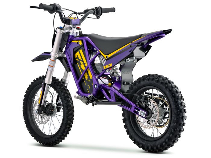 EBOX V3 60R Purple/Gold FREE USA SHIPPING E Moto Bike