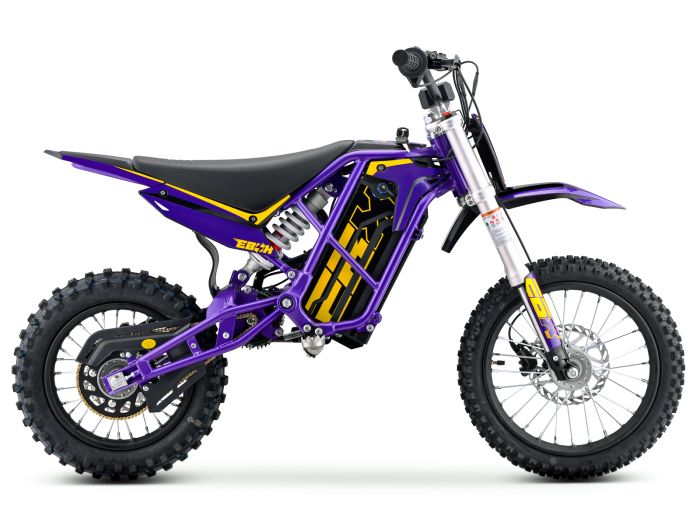 EBOX V3 60R Purple/Gold FREE USA SHIPPING E Moto Bike