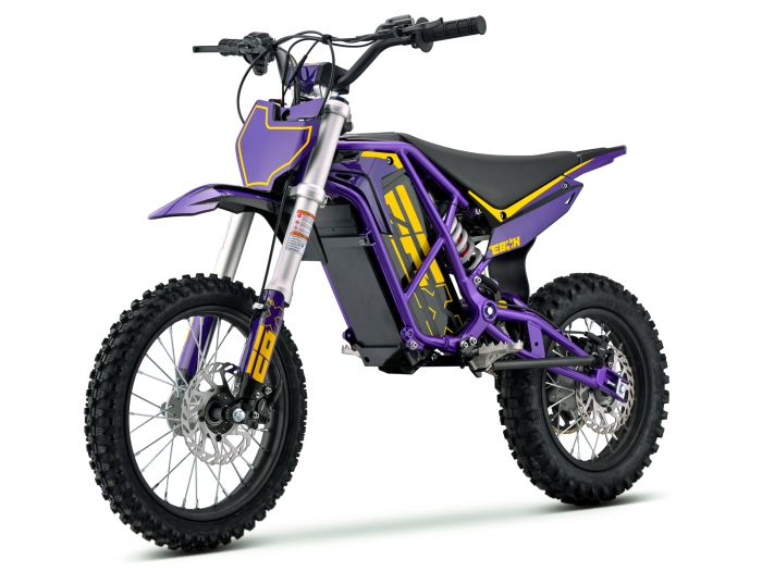 EBOX V3 60R Purple/Gold FREE USA SHIPPING E Moto Bike