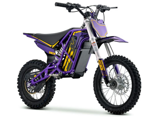 EBOX V3 60R Purple/Gold FREE USA SHIPPING E Moto Bike