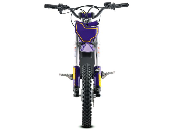 EBOX V3 60R Purple/Gold FREE USA SHIPPING E Moto Bike
